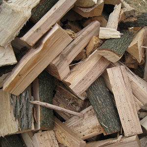 Ash FireWood