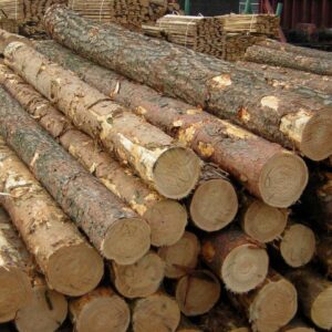 Pine Logs