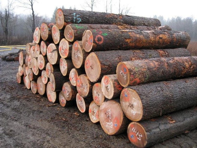 oak logs